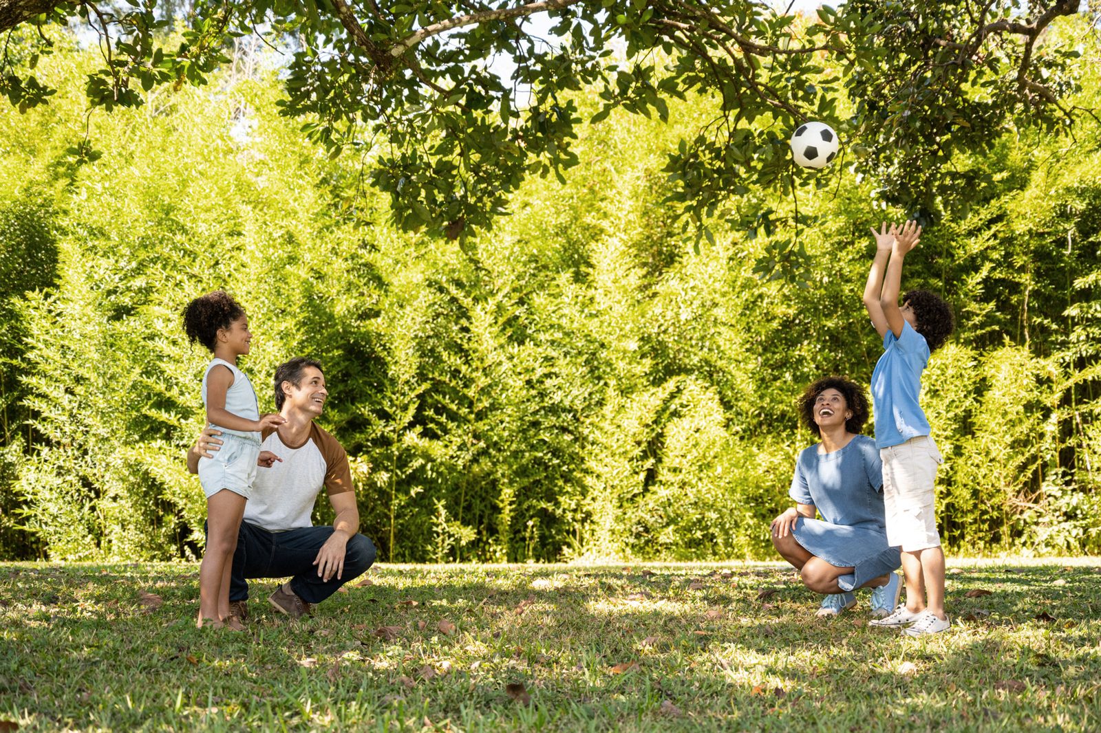 How specialized insurance strategies can protect your estate