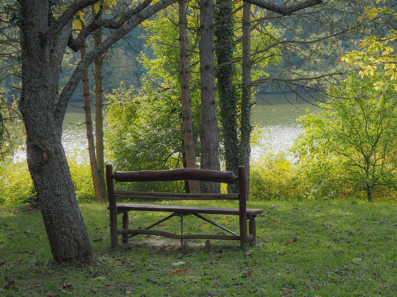 Personal CFO Kelowna: Strategies for Estate Protection
